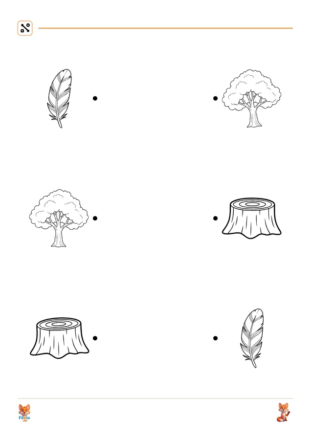 Přiřazování: Les